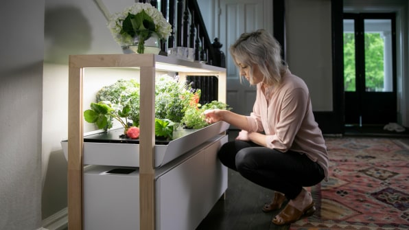 4 Best Indoor Smart Gardens 2021