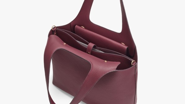 cuyana system tote review