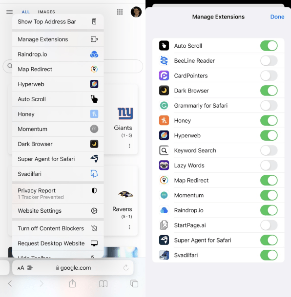 The four types of Safari extension