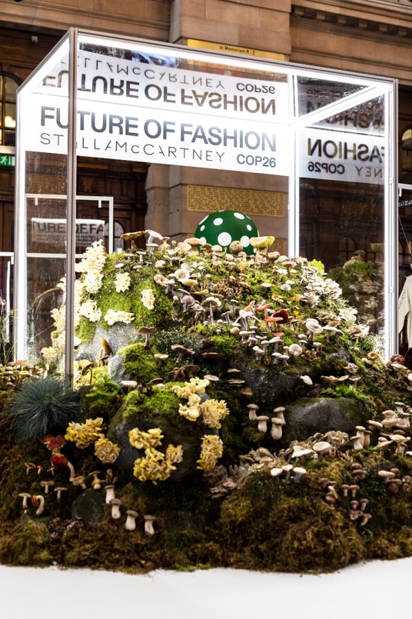 Stella McCartney: a sustainable force for change in the fashion