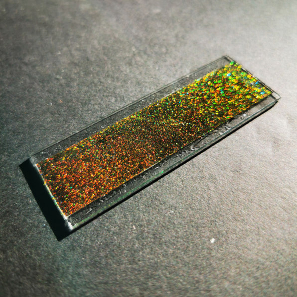 This new biodegradable glitter is made entirely from plants