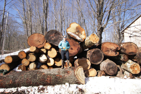 How one New Hampshire sawmill is taking a stand against big timber 26 90754532 how one new hampshire sawmill is taking a stand against big timber