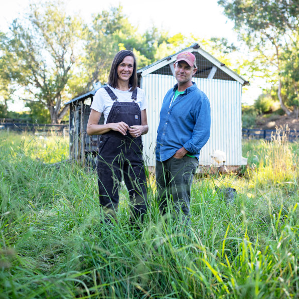 How Apricot Lane Farms restored its soil