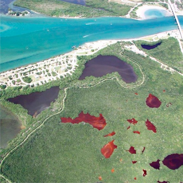 Why New Mexico is considering a ‘green amendment’ to its state constit