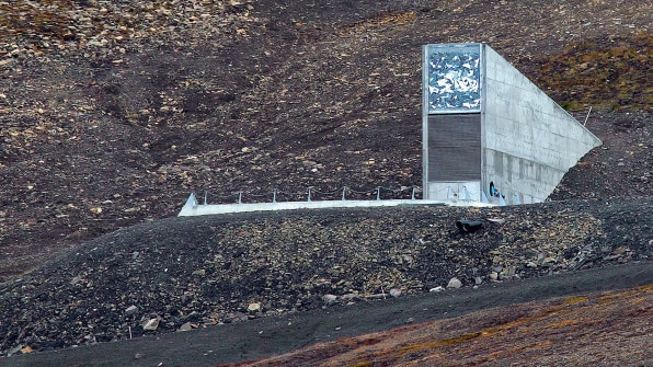 The Arctic Bunker That Protects The World S Seeds Is Thawing The Arctic Bunker That Protects The World S Seeds Is Thawing