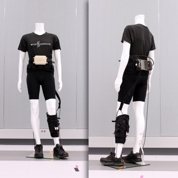 Taking walks with this leg brace can power an artificial heart