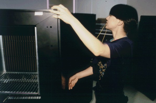 The Female Supercomputer Designer Who Inspired Steve Jobs