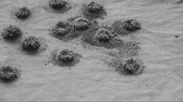 Magical Fabric Could Let You Change Clothes Instantly
