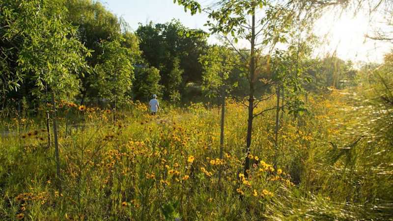 Buffalo Bayou [Photo: Buffalo Bayou Partnership/courtesy High Line Network]