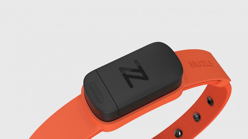 Is Nuzzle The iPod Of Pet Insurance? Ammunition Thinks So.