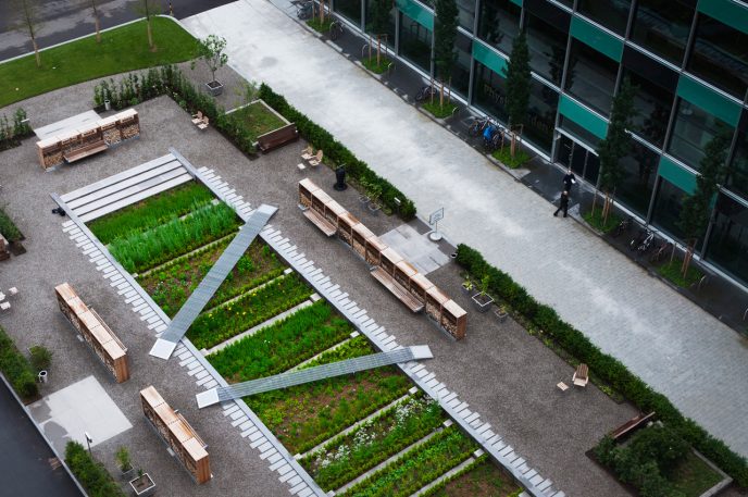 A Landscape Architect Redesigns The Medieval Medicinal Garden