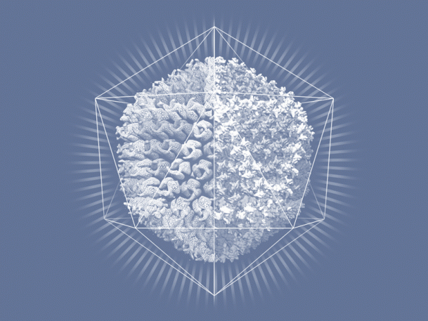 A Master Of Science Visualization Animates Deadly Viruses