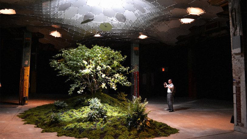New York City Approves The Lowline, The World’s First Underground Park