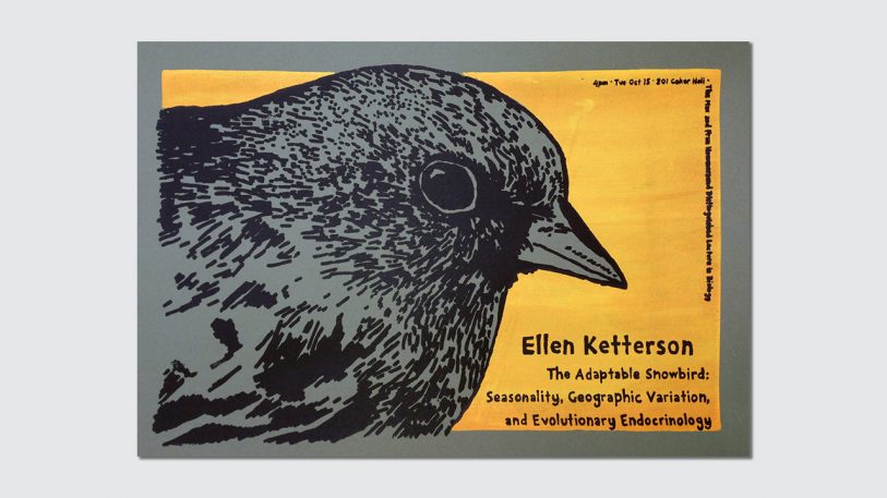 Design + Creativity - Cover